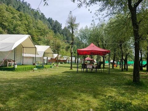 the-posh-camps.jpg