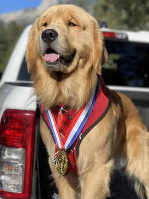 mayor-max-3.jpg