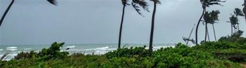 240_F_1458733513_Uz85wFn2RQJpCf8yzxJFYogPSlsdsVvx.jpg