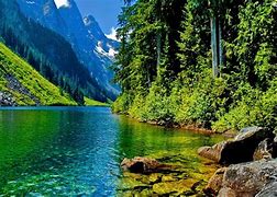 sunny lakeshore image