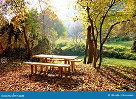 view of picnic table under shade trees